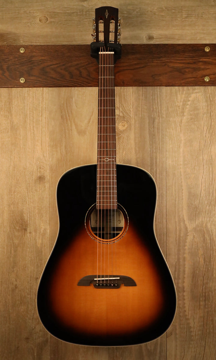 Alvarez shop 12 fret