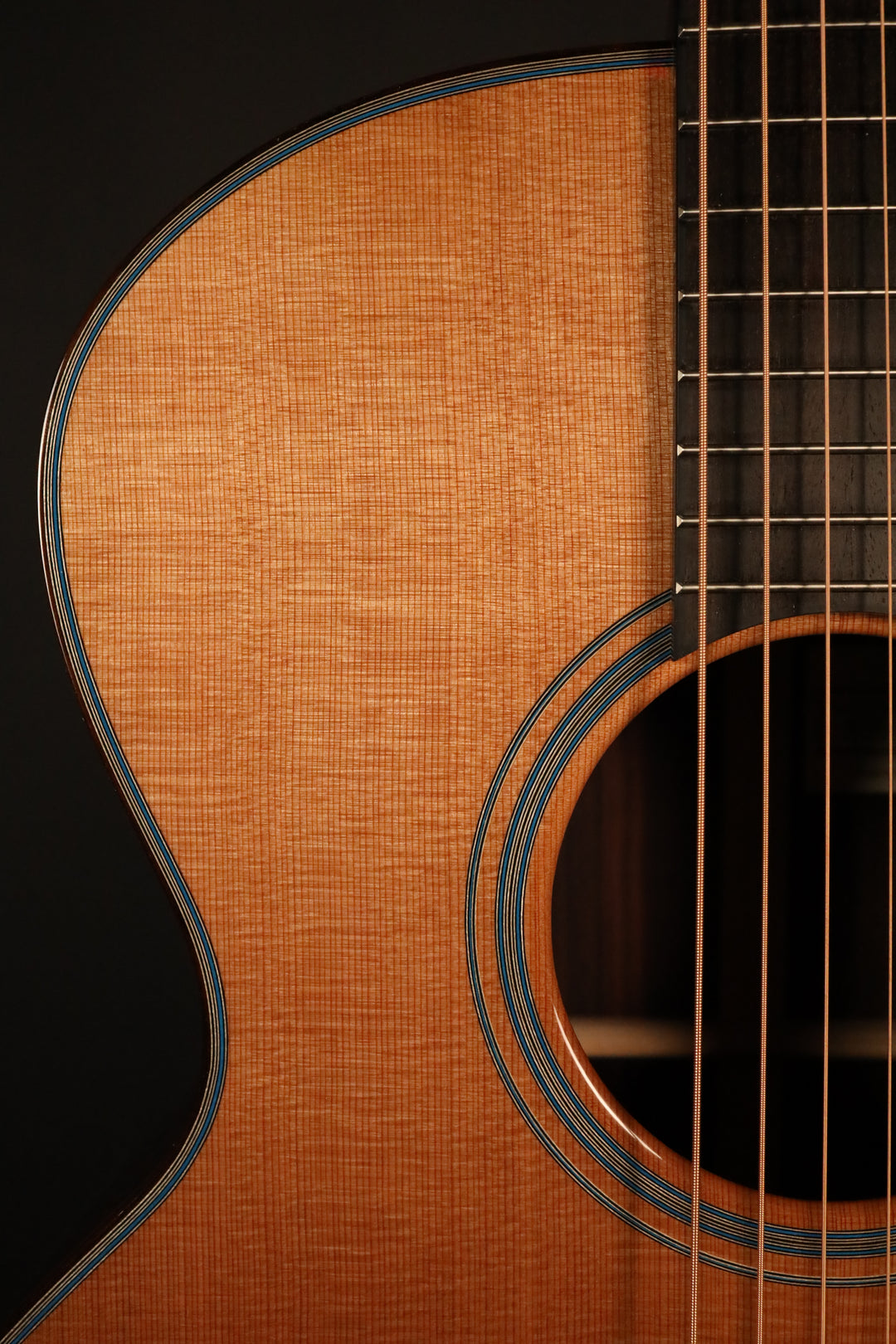 Santa Cruz FS (Fingerstyle Model) - Cedar/Indian Rosewood (NEW)