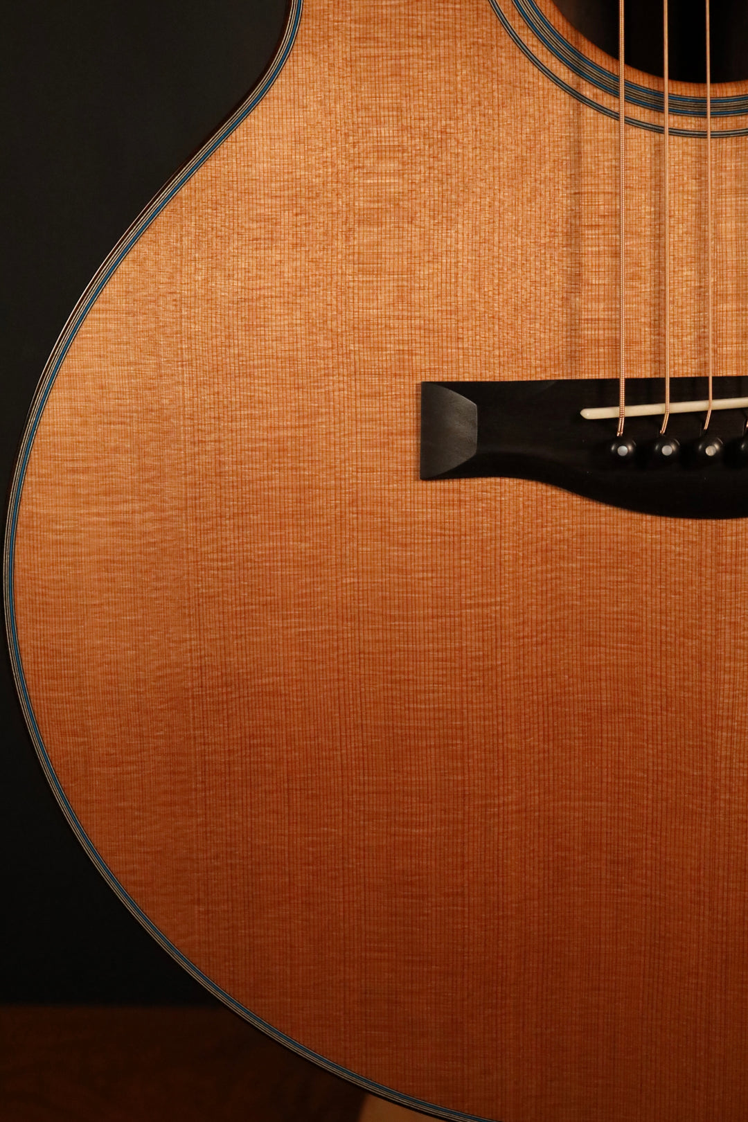 Santa Cruz FS (Fingerstyle Model) - Cedar/Indian Rosewood (NEW)
