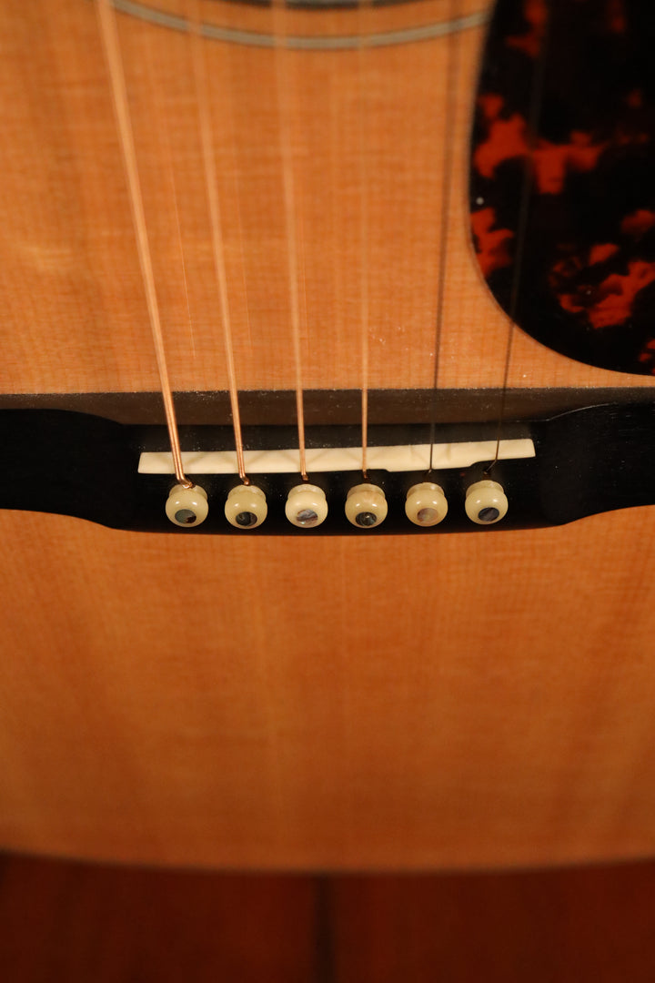 Larrivee D-09 Custom - Sitka Spruce/Walnut (2014)