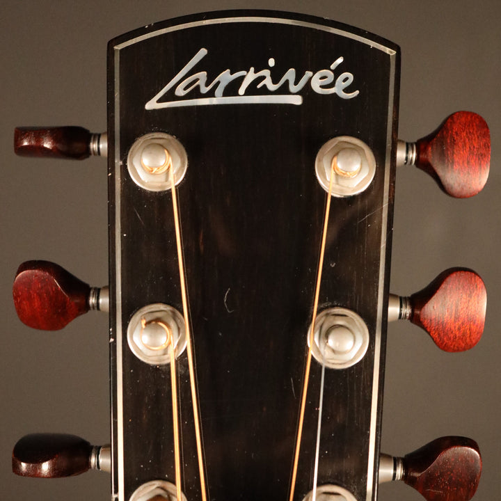 Larrivee D-09 Custom - Sitka Spruce/Walnut (2014)