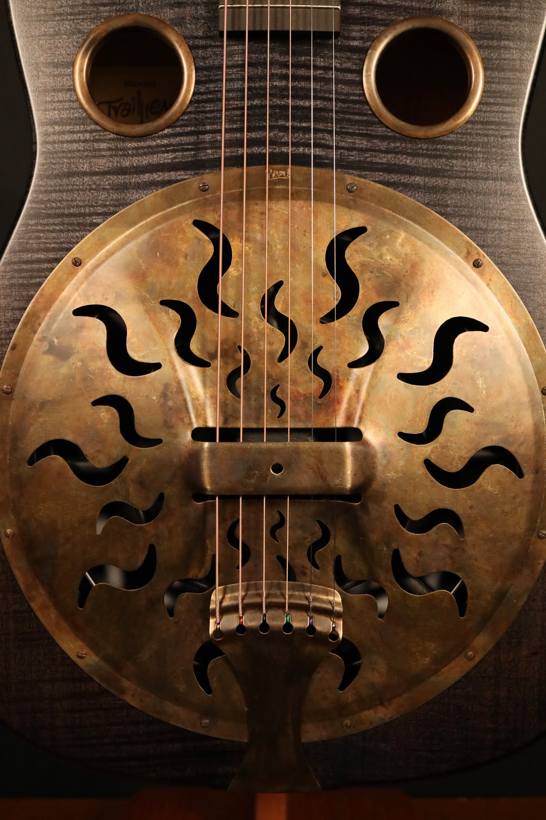 Beard Trailhead-E Roundneck with Cutaway - Black Ice Satin Finish, Fishman Nashville Bridge Pickup