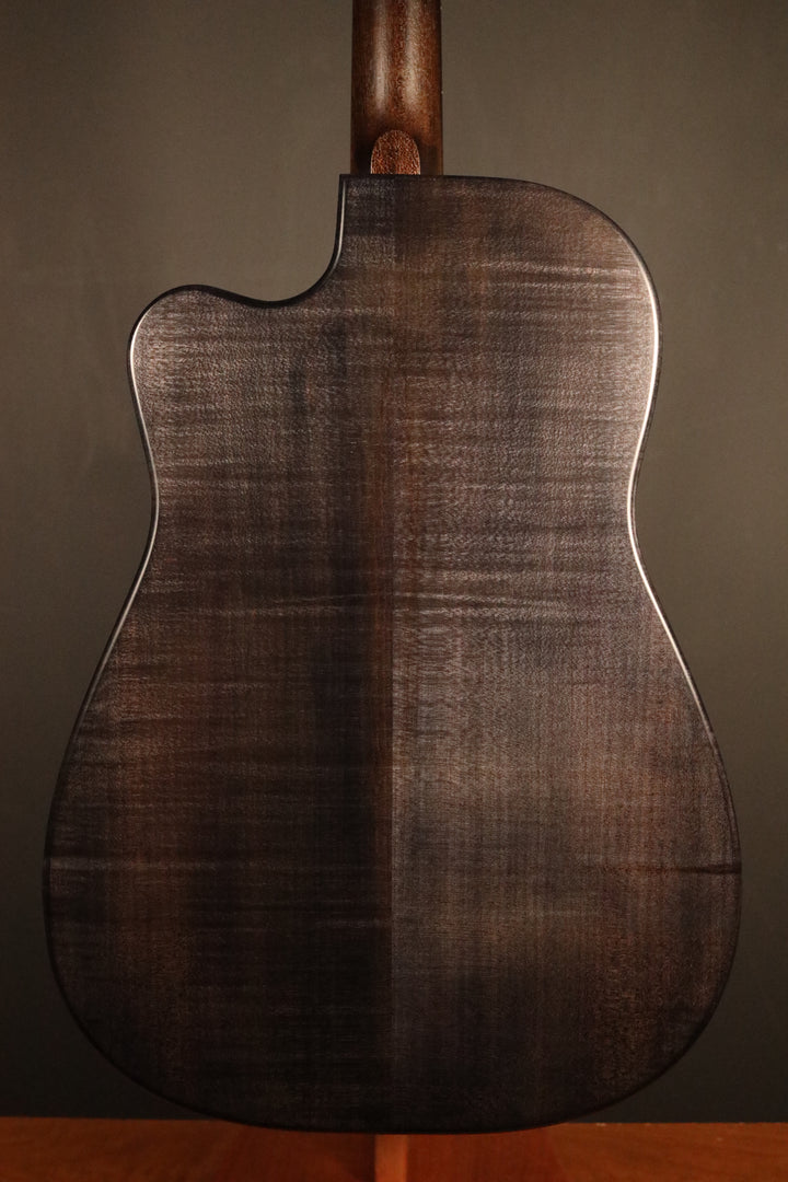 Beard Trailhead-E Roundneck with Cutaway - Black Ice Satin Finish, Fishman Nashville Bridge Pickup