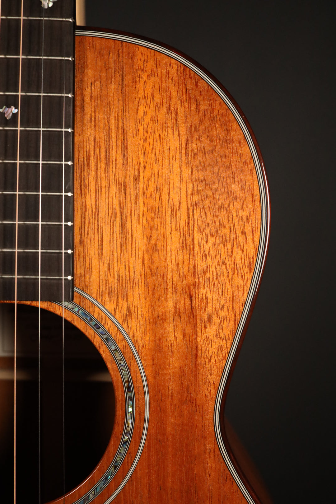 Froggy Bottom Model L Deluxe - Honduran Mahogany (2025 - Used)