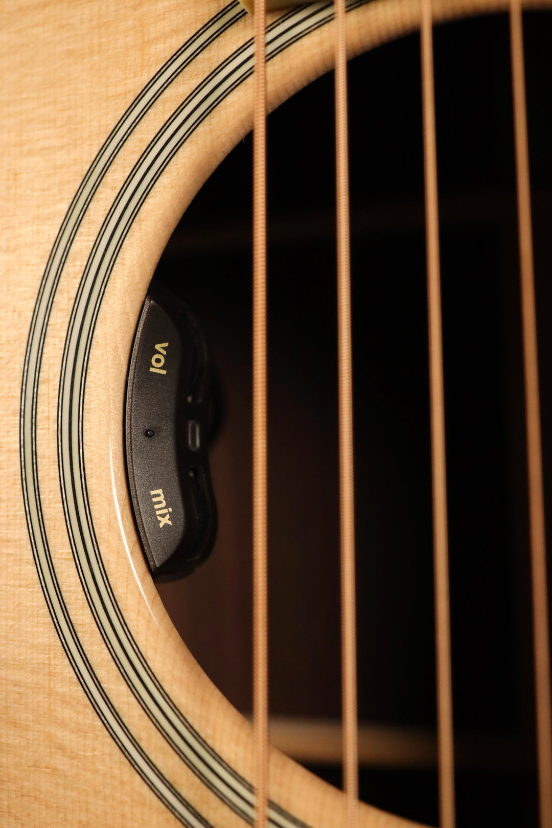 Santa Cruz Founder Collection 000 - Sitka Spruce/Indian Rosewood (NEW) with LR Baggs Hi-Fi Duet Pickup