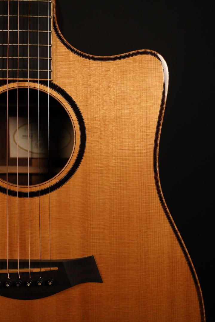 Taylor 810-CE-L7 Fall Limited 2004 - Sitka/Cocobolo