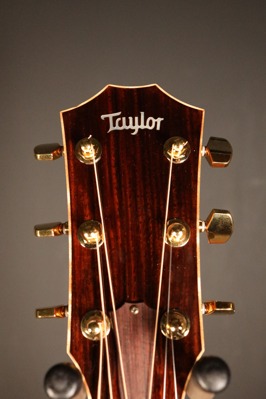 Taylor 810-CE-L7 Fall Limited 2004 - Sitka/Cocobolo
