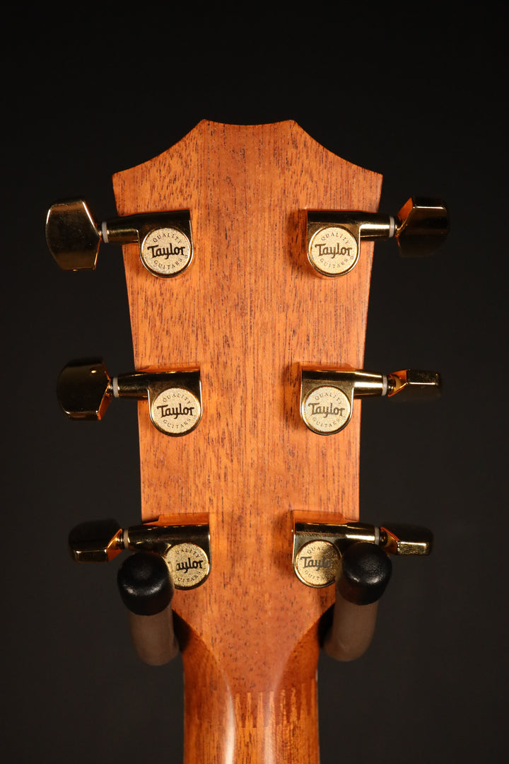 Taylor 810-CE-L7 Fall Limited 2004 - Sitka/Cocobolo