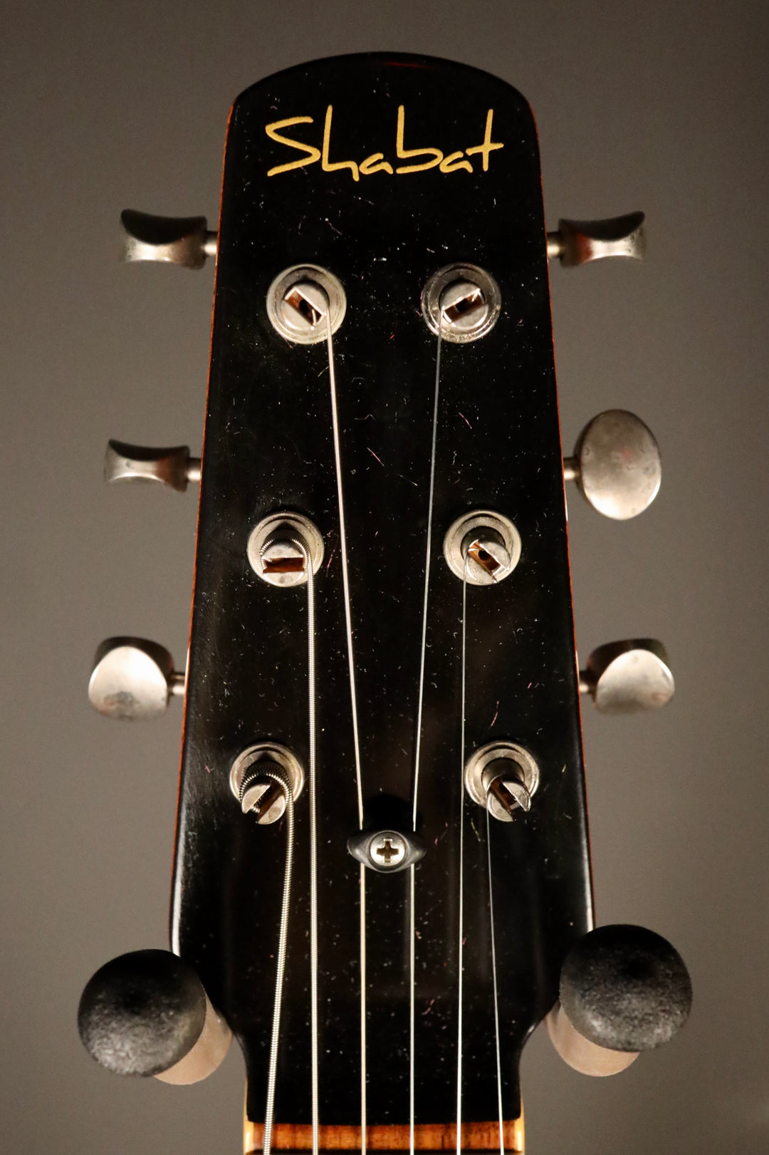 Shabat Lion Special - Silver Sparkle,  LollarTron Pickups, and Bigsby
