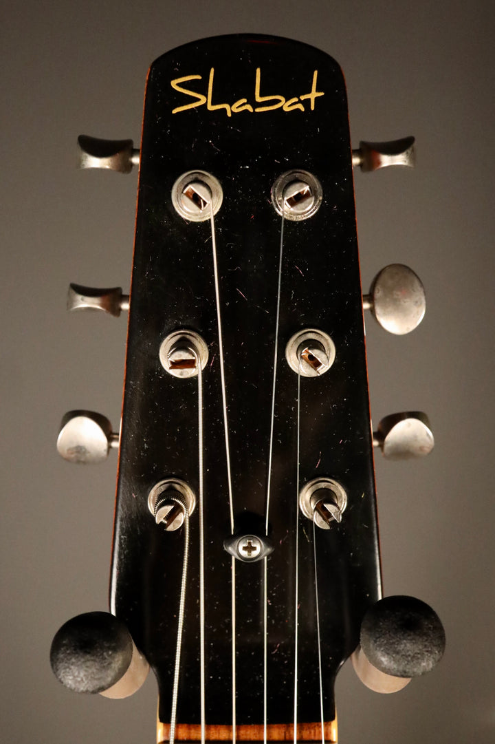 Shabat Lion Special - Silver Sparkle,  LollarTron Pickups, and Bigsby