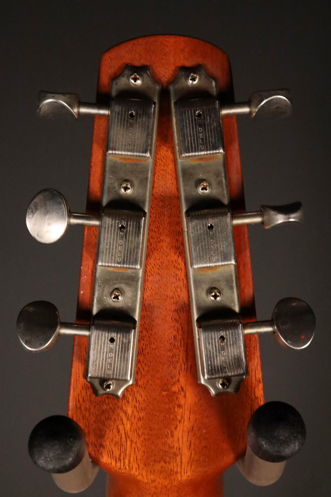 Shabat Lion Special - Silver Sparkle,  LollarTron Pickups, and Bigsby