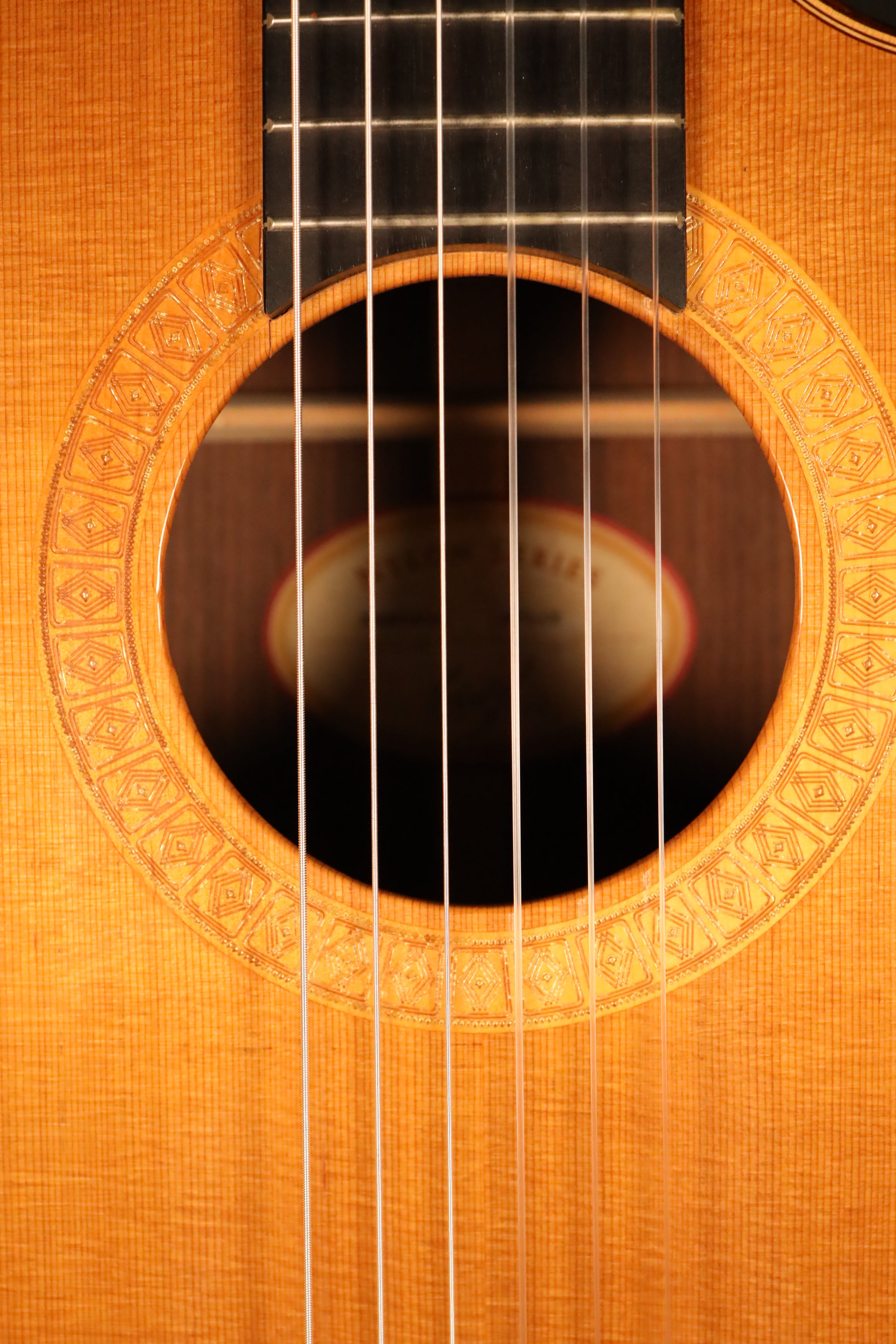 Taylor NS72ce - Western Red Cedar/Indian Rosewood (2002) – Organic