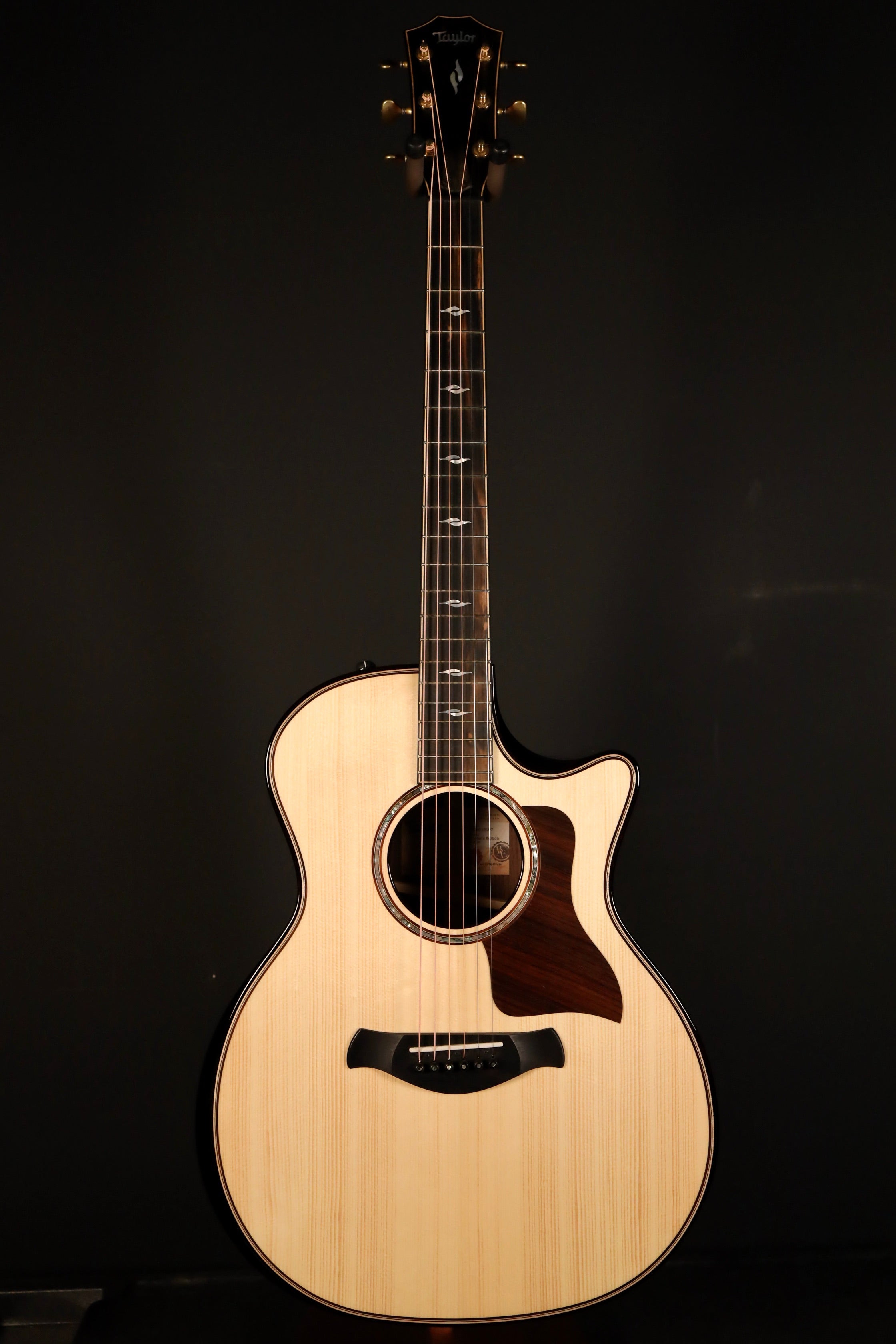 Taylor Builder's Edition 814ce (2023) - Adirondack Spruce/Indian