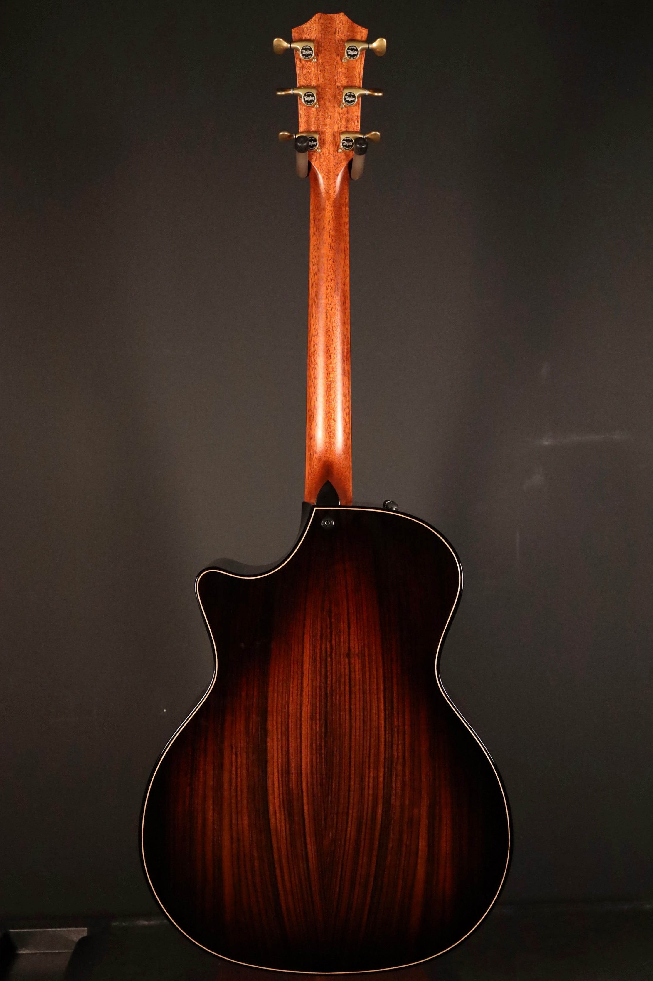 Taylor Builder's Edition 814ce (2023) - Adirondack Spruce/Indian