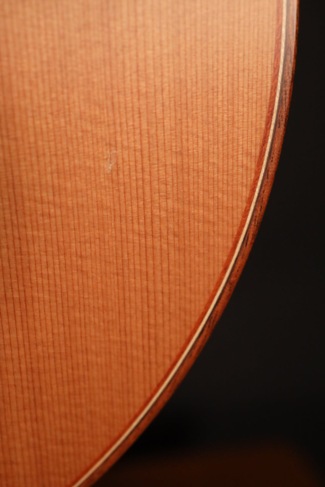 Lowden WL-25 (Wee Lowden) - Red Cedar/Indian Rosewood (pre-owned 2022)