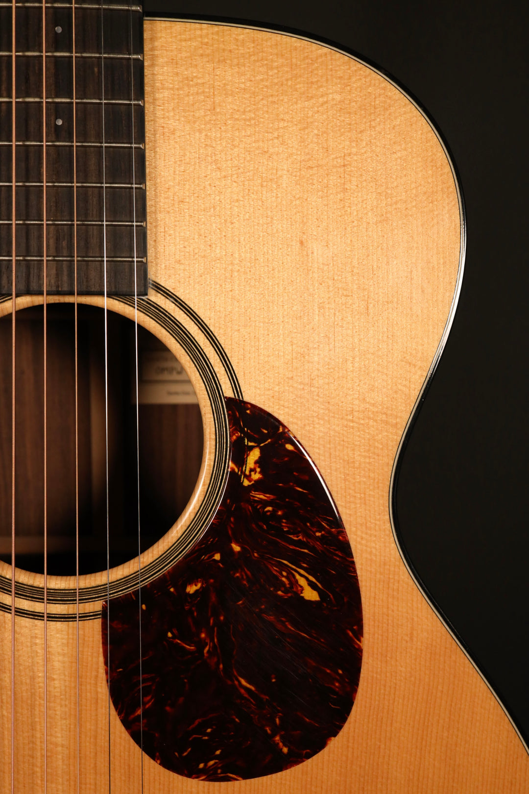 Santa Cruz OM/PW - Sitka Spruce/Indian Rosewood (2007)