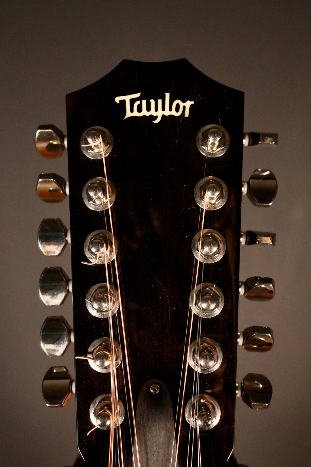 Taylor 562ce 12-Fret 12 String Guitar - All Mahogany (2016)