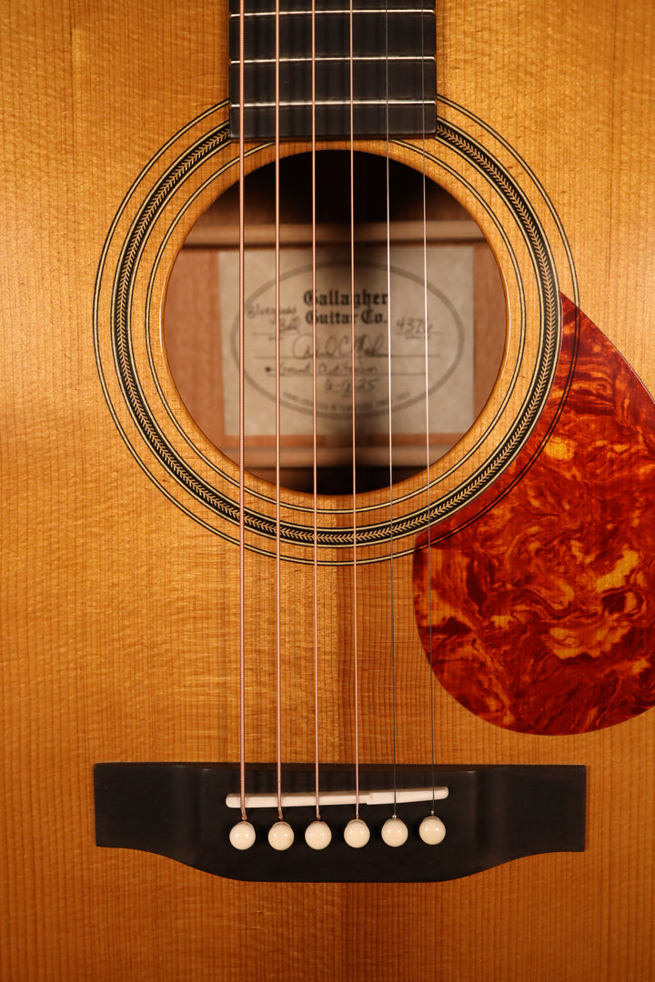 Gallagher Bluegrass Belle Grand Auditorium - Torrefied Adirondack Spruce/Mahogany (NEW)