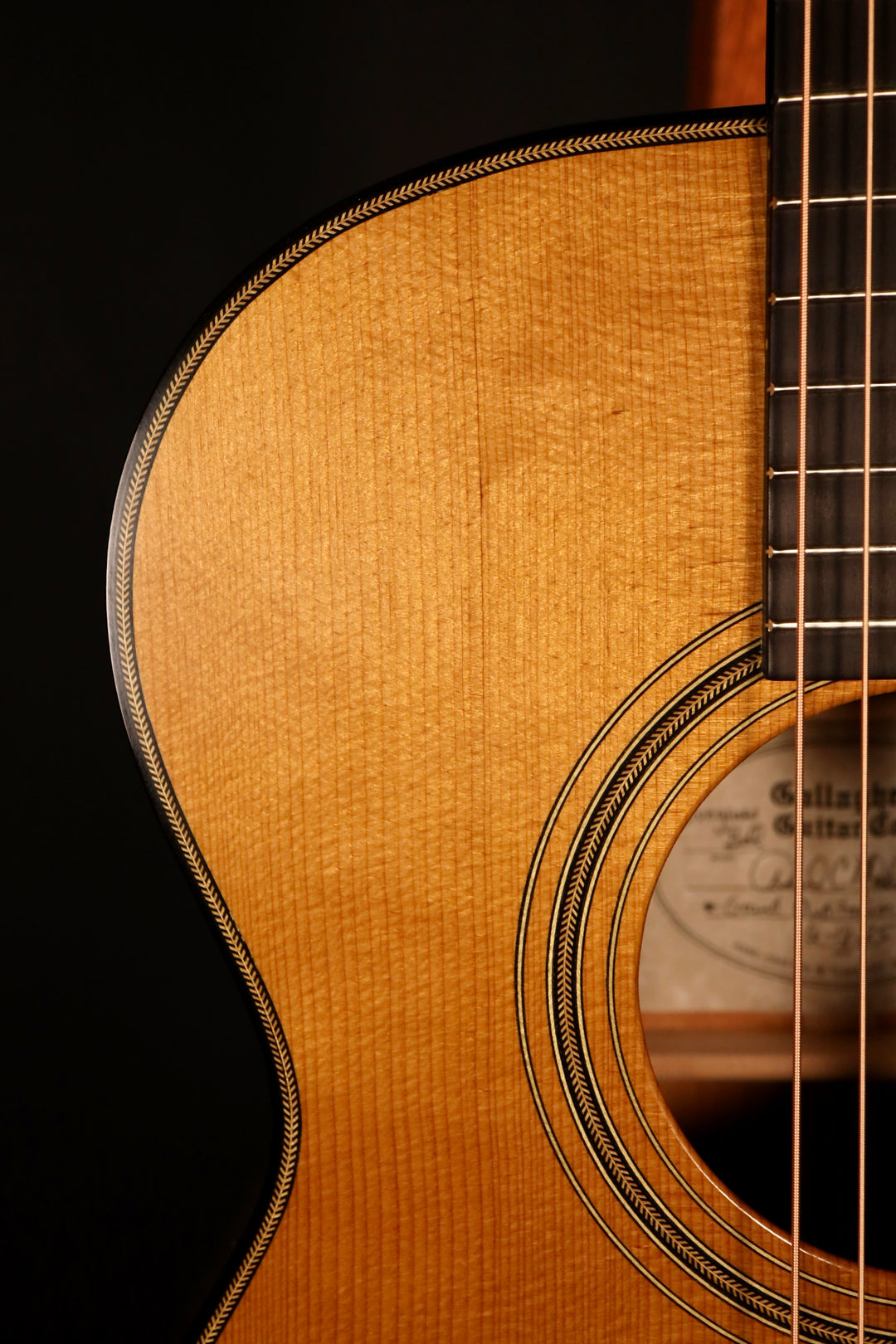 Gallagher Bluegrass Belle Grand Auditorium - Torrefied Adirondack Spruce/Mahogany (NEW)
