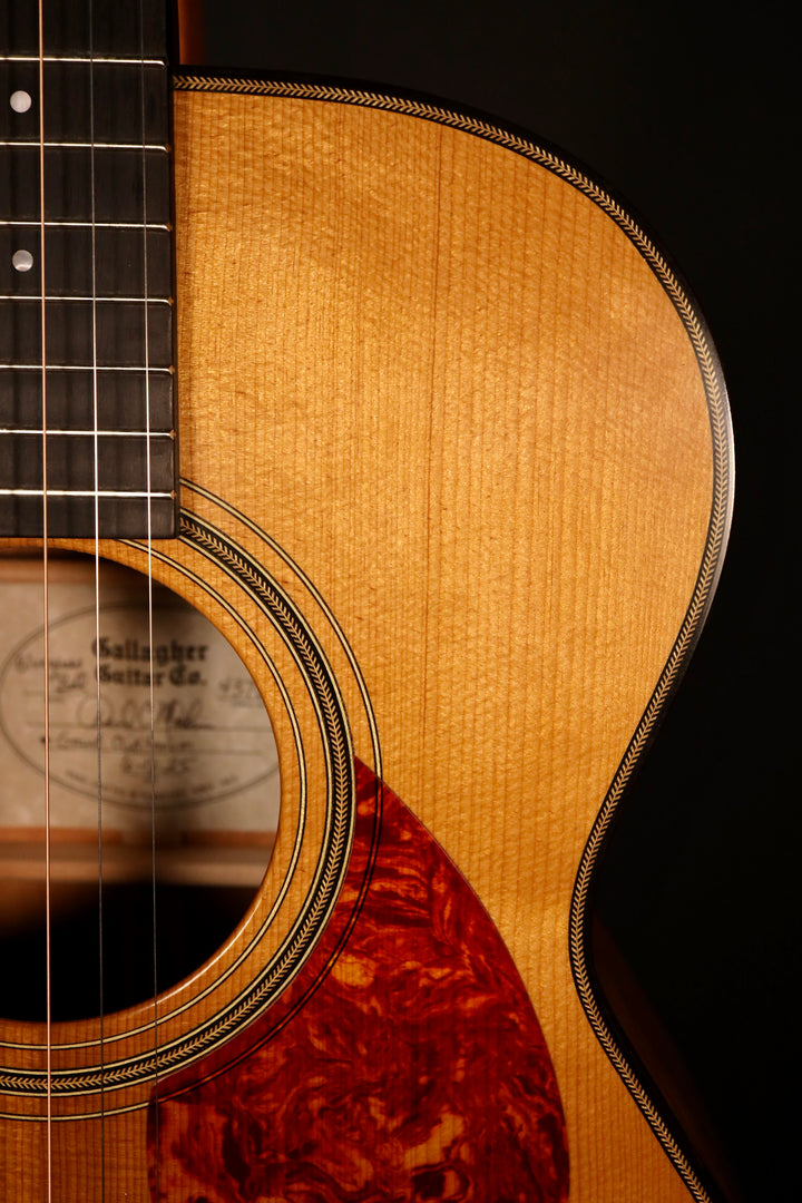 Gallagher Bluegrass Belle Grand Auditorium - Torrefied Adirondack Spruce/Mahogany (NEW)