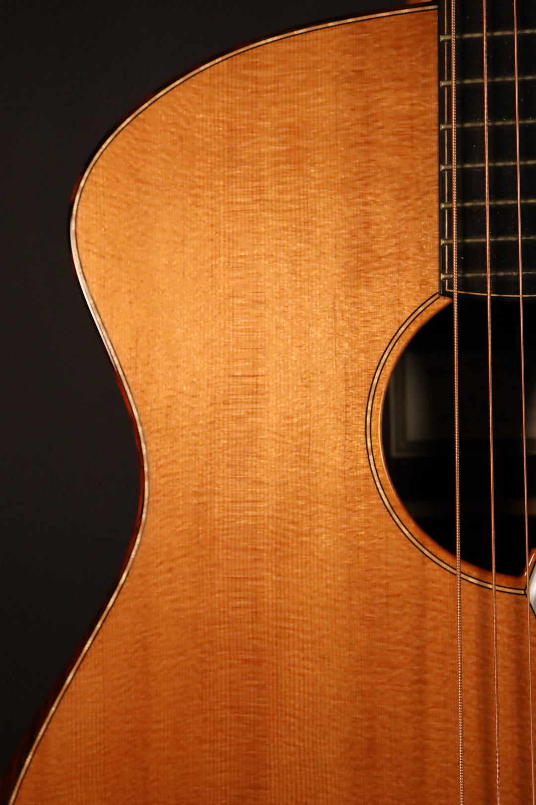 Wilborn "The Patros" - Torrefied Sitka Spruce/Macassar Ebony (2016)