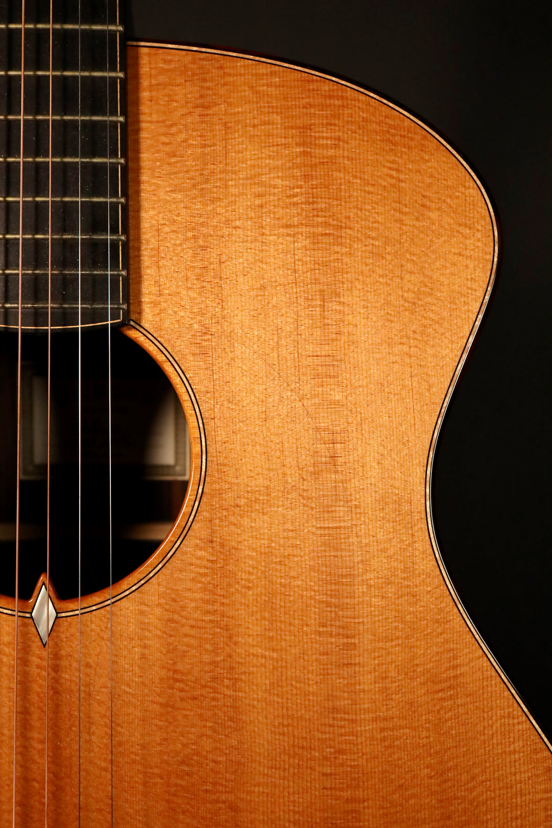 Wilborn "The Patros" - Torrefied Sitka Spruce/Macassar Ebony (2016)