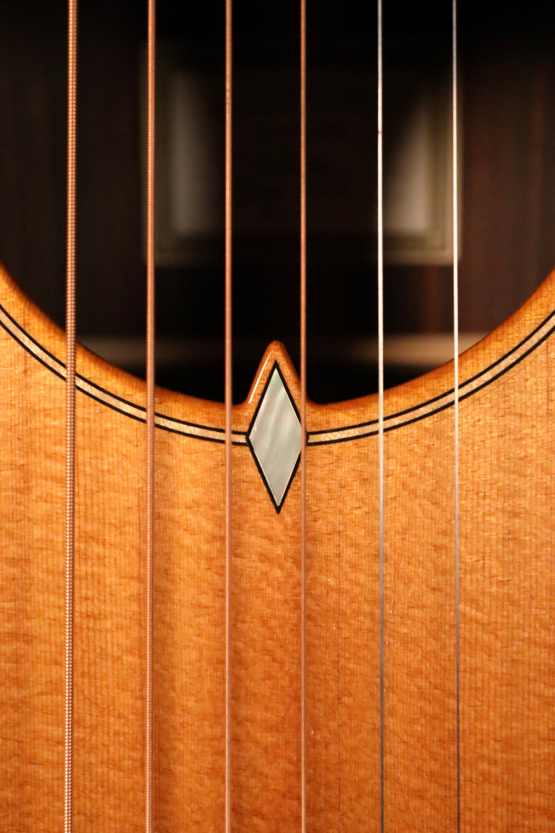 Wilborn "The Patros" - Torrefied Sitka Spruce/Macassar Ebony (2016)