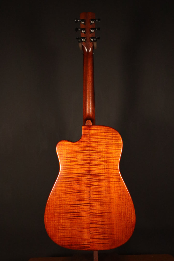 Beard Trailhead-E Roundneck with Cutaway - Tobacco Satin Finish, Fishman Nashville Bridge Pickup