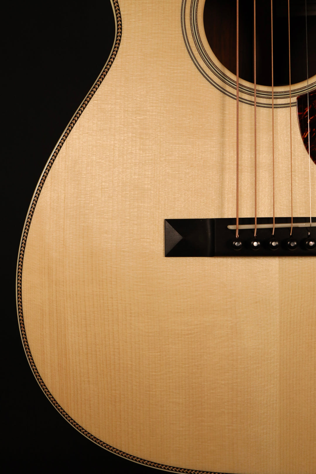 Santa Cruz 00-Skye - Adirondack Spruce/Cocobolo (NEW)