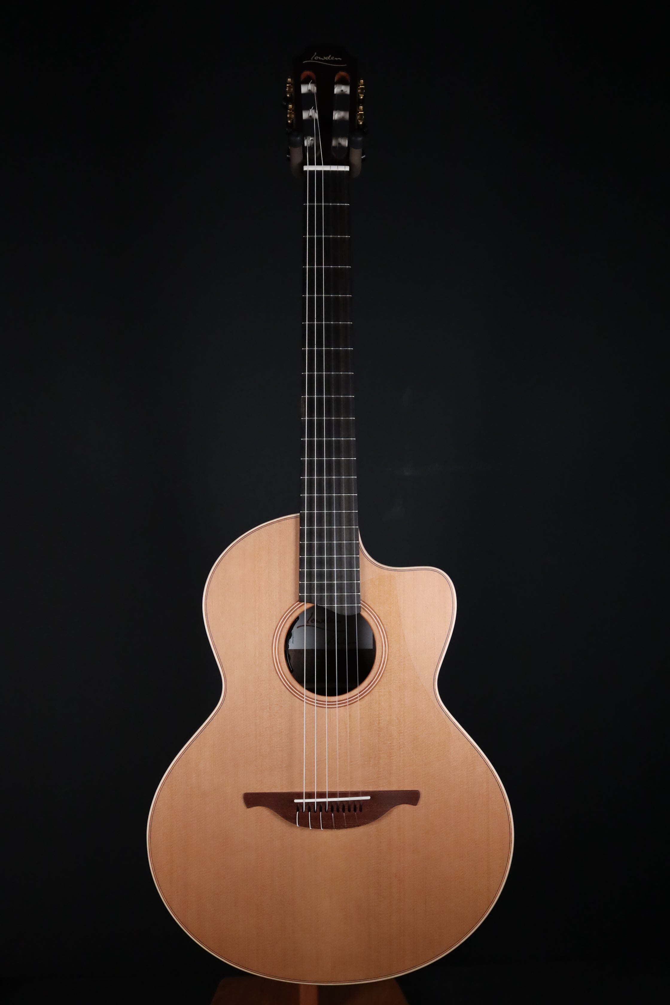 Featured Guitars – Organic Sounds Select Guitars