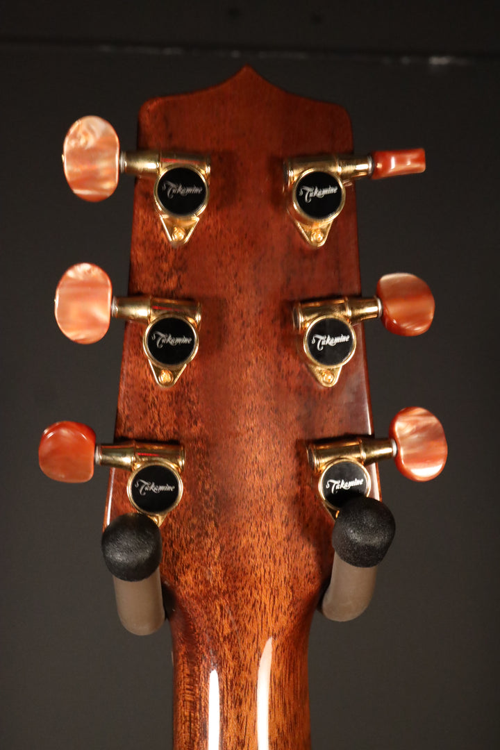 Takamine Santa Fe ESF40C (1999)