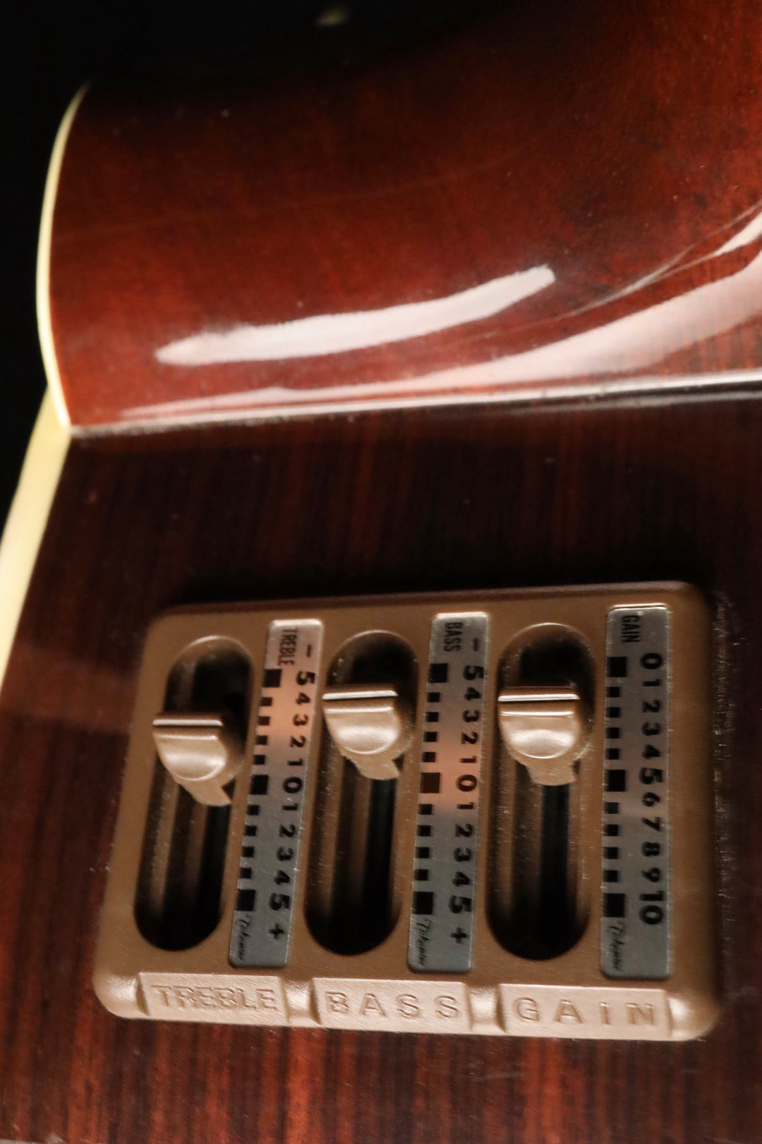 Takamine EF400C 12 String Acoustic-Electric (1985)