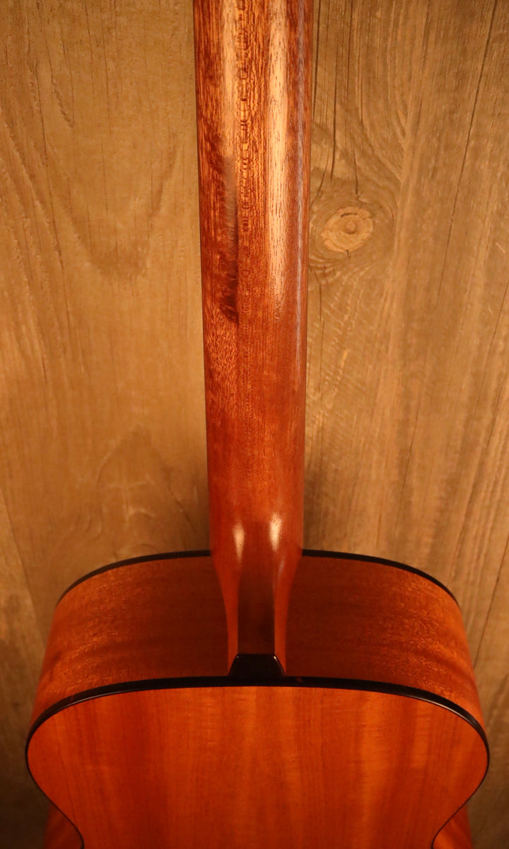Iris OG Natural - Spruce/Mahogany (2020)