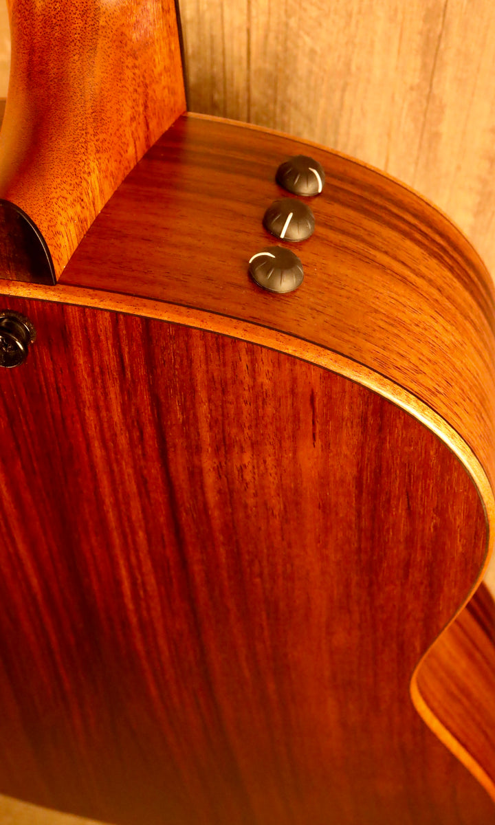 Taylor Grand Pacific Builder's Edition 717e, Wild Honey Burst - Torrified Sitka Spruce/Indian Rosewood (2019)