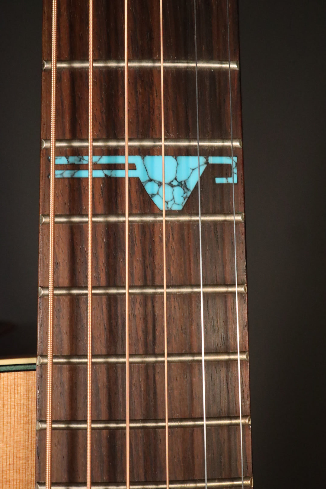 Takamine Santa Fe ESF40C (1999)